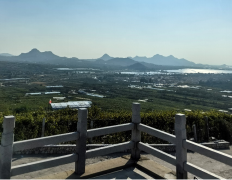 http://www.mantisi.cn平度大澤山葡萄園引進(jìn)萊恩德土壤肥料檢測(cè)儀， 輕松掌握土壤營(yíng)養(yǎng)